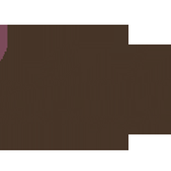 Galaria Plastic Surgery & Dermatology