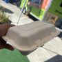Photo of Tios Grill