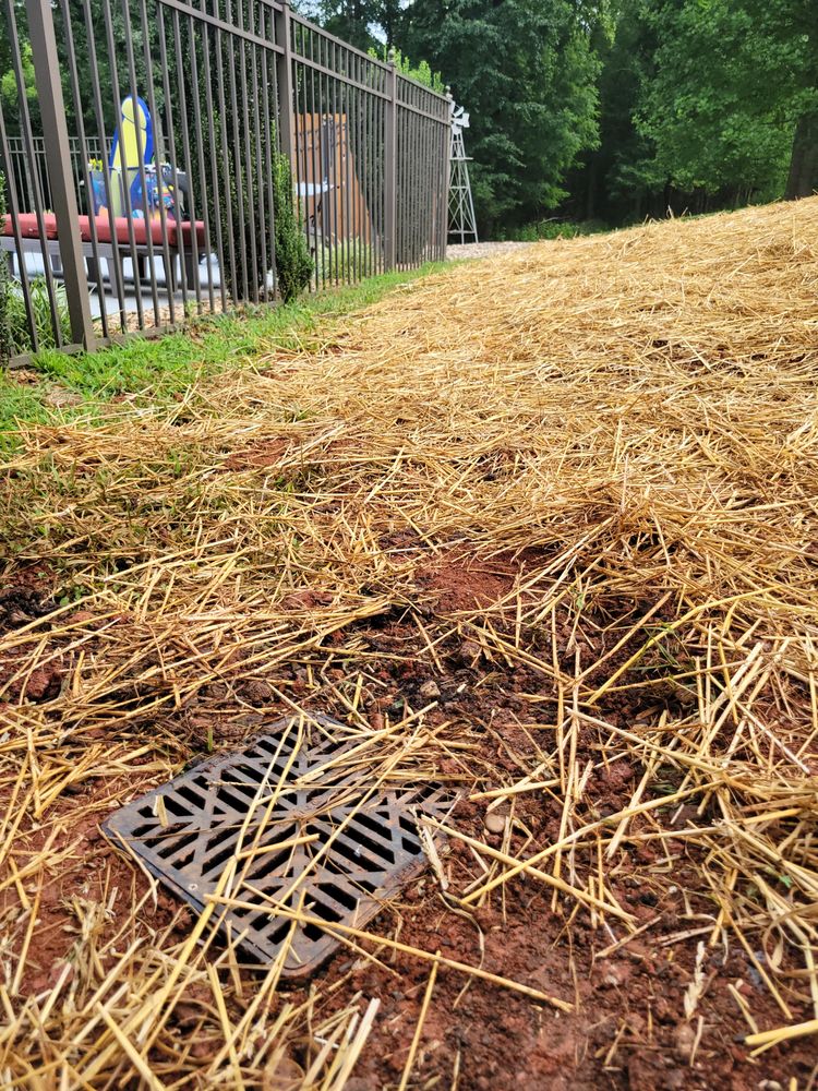 Slide of Pirates Plumbing