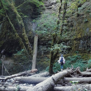 Oneonta Falls - Parks Near Me - Corbett, Oregon Oneonta Falls - Parks Near Me - Corbett, Oregon