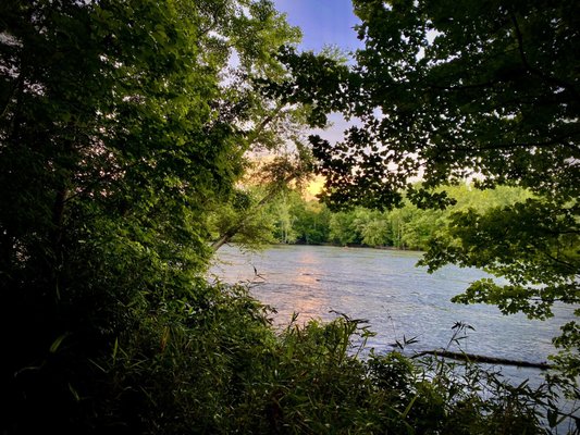 Landsford Canal State Park by null