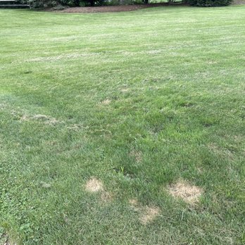 POOP 911 - Pet Waste Removal Near Me POOP 911 - Pet Waste Removal Near Me