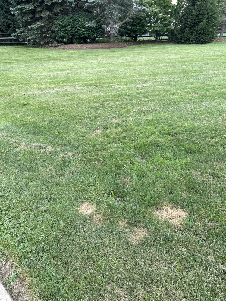 POOP 911 PHILADELPHIA Updated August 2024 Philadelphia