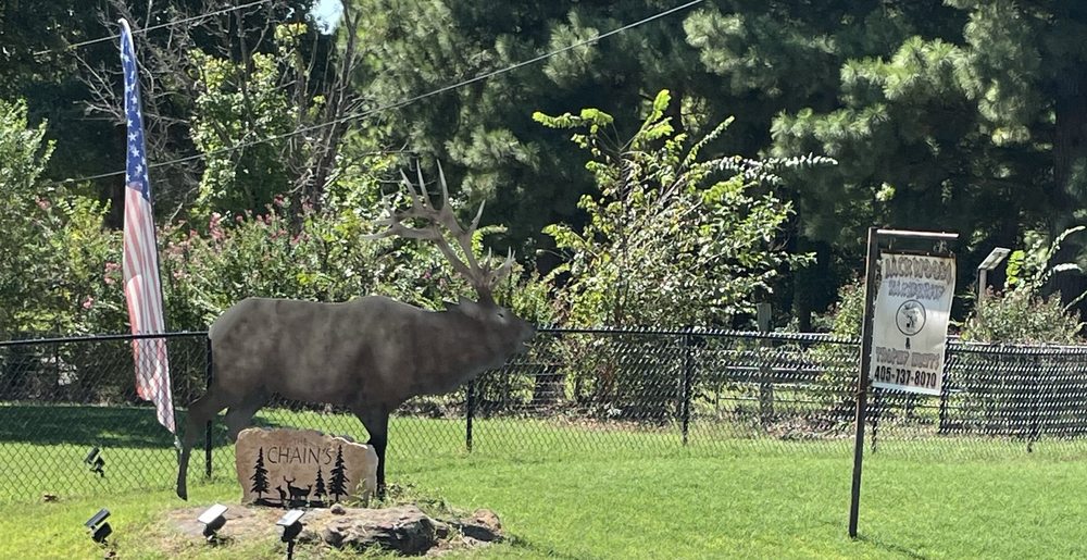 Backwoods Taxidermy - taxidermy in Oklahoma City, OK