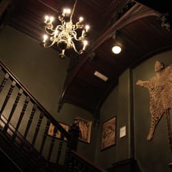 The Milk Thistle