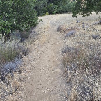 Arroyo Seco Campground - Campgrounds Near Me - Greenfield, California