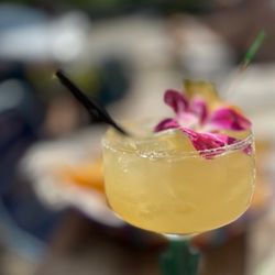 Xolos - Margarita