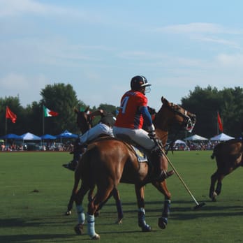 NEWPORT POLO - Updated January 2026 - 76 Photos & 22 Real Reviews - 250