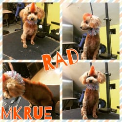 Muttly Krue - Creative fun !!