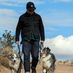 Misfit Mutt Solutions