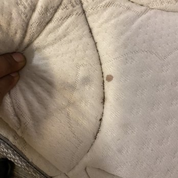 Red Roof PLUS+ Boston - Logan - Feces from insects and caked on grime in the crevices of the mattress. - Hotels Near Me - Saugus, Massachusetts