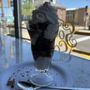 Photo of Soda & Scoops