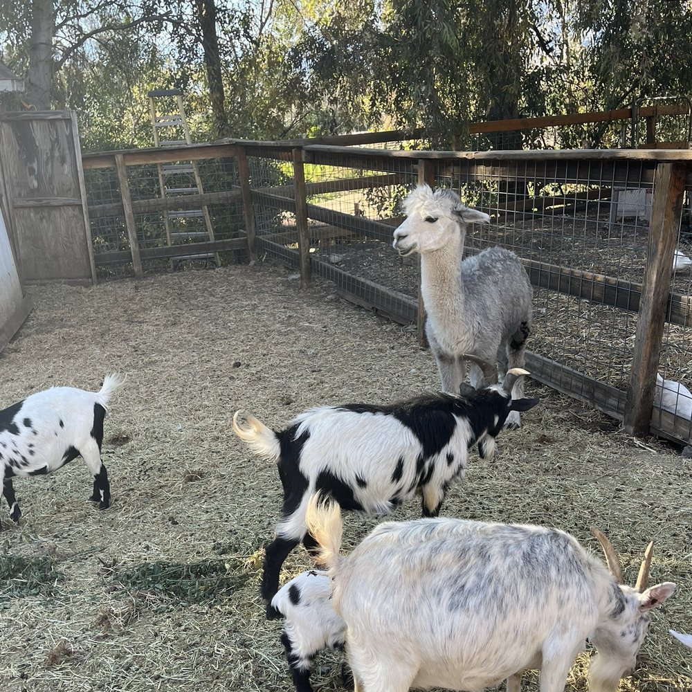 Greenspot Farm - Farmers Market Near Me - Mentone, California