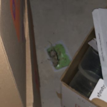 Public Storage - Dead mouse - Self Storage Near Me - Denver, Colorado Public Storage - Dead mouse - Self Storage Near Me - Denver, Colorado