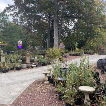 Intown Ace Hardware - Garden center - Hardware Stores Near Me - Decatur, Georgia Intown Ace Hardware - Garden center - Hardware Stores Near Me - Decatur, Georgia