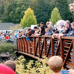 Issaquah Salmon Hatchery