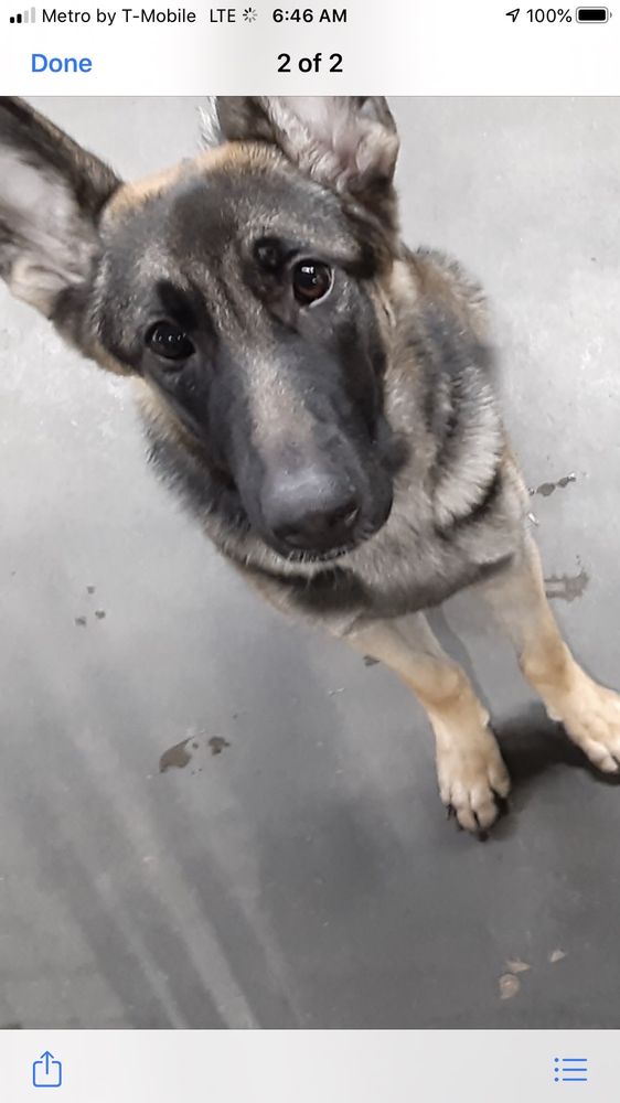 A PET’S LIFE 44 Photos & 32 Reviews 1738 Wylds Rd, Augusta,