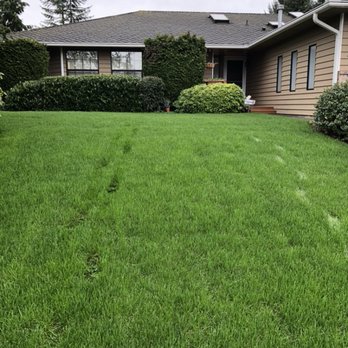 Solid Landscape Services - Early spring 2018 lawn renovation - Landscaping Near Me Solid Landscape Services - Early spring 2018 lawn renovation - Landscaping Near Me