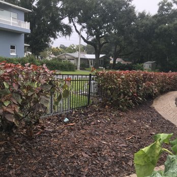 Mid Florida Tree Care - Tree Services Near Me Mid Florida Tree Care - Tree Services Near Me