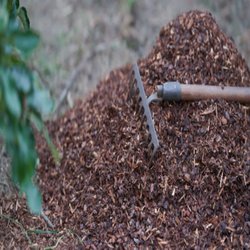 Able Tree & Landscape Service