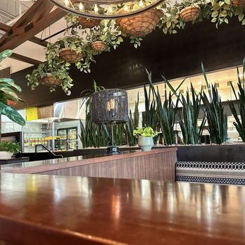 Blanco Cocina + Cantina - Tacos Near Me - Phoenix, Arizona