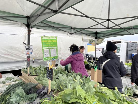 San Mateo Farmers' Market by null