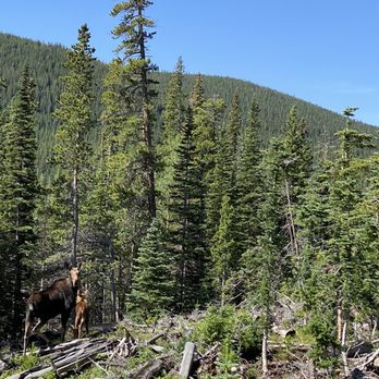 Backbone Adventures - ATV Rentals/Tours Near Me - Estes Park, Colorado