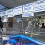 Greek Festival at St. Basil's Greek Orthodox Church
