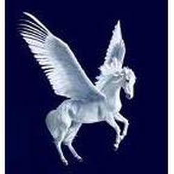 Pegasus Fairways Travel