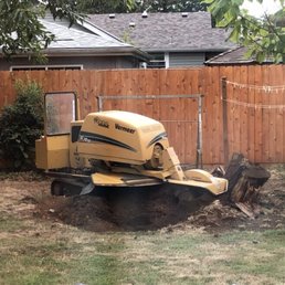 Jake grinding my stump Jake grinding my stump