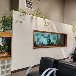 Leon Pediatrics