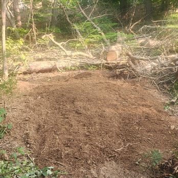 Yard Pro - a pile of dirt in a wooded area - Tree Services Near Me Yard Pro - a pile of dirt in a wooded area - Tree Services Near Me