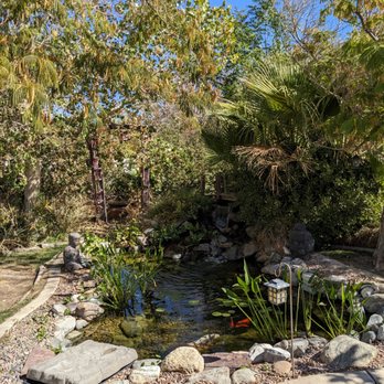 Vivid Water Gardens - Yes...this is in the desert! Apple Valley - Nurseries & Gardening Near Me - Hesperia, California Vivid Water Gardens - Yes...this is in the desert! Apple Valley - Nurseries & Gardening Near Me - Hesperia, California