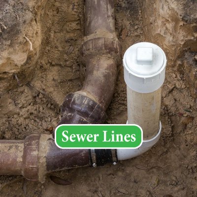 Slide of Aardvark Rooter