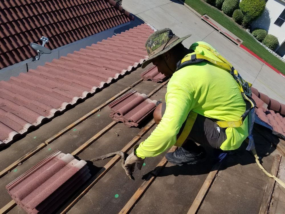 Slide of New Life Structure Care