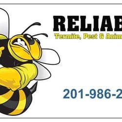 Reliable Pest & Animal Control - call us for all your pest and animal control needs