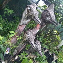 Templex Nursery
