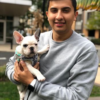 North Bergen Pet Sitter - Dog Walkers Near Me North Bergen Pet Sitter - Dog Walkers Near Me