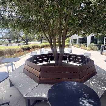 Lone Pine Eatery - Outside seating, one of many areas - Coffee & Tea Near Me - San Diego, California Lone Pine Eatery - Outside seating, one of many areas - Coffee & Tea Near Me - San Diego, California