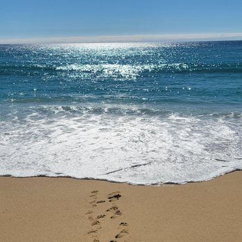 Sunset Travel & Cruise - Beach at Hard Rock Los Cabos - Travel Services Near Me - Chicago, Illinois Sunset Travel & Cruise - Beach at Hard Rock Los Cabos - Travel Services Near Me - Chicago, Illinois