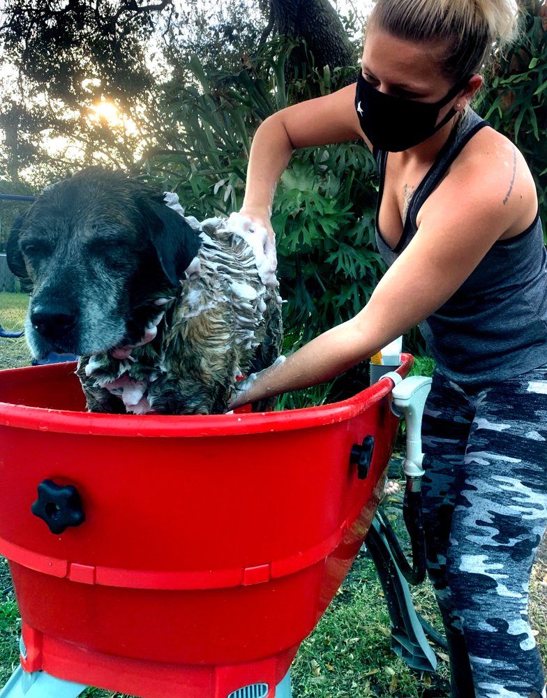 GYPSY GROOMING Updated June 2024 Port St. Lucie, Florida Pet