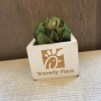 Chick-fil-A - Plant on each table - Fast Food Near Me - Cary, North Carolina Chick-fil-A - Plant on each table - Fast Food Near Me - Cary, North Carolina