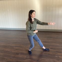 Lone Star Healing Arts & Fitness - Tai chi!