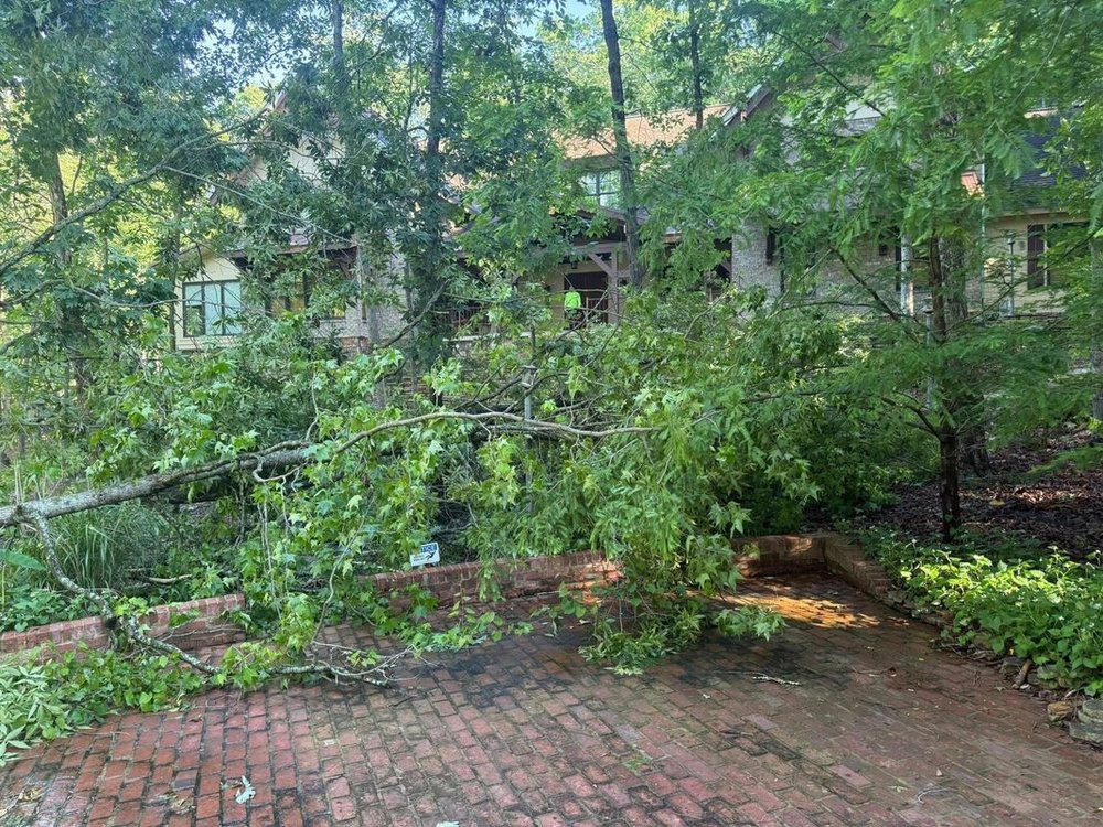 Altitude Tree Service - tree service in Huntsville, AL