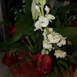 Rubidoux Flower Shop - The roses died in less than 48 hours!