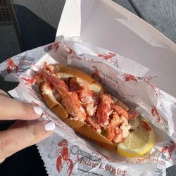 Taste Of Bolingbrook - $25 for this mediocre lobster roll with NO sides, after a 20 minute wait. Ehhhhh