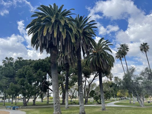 Maxwell Park by null