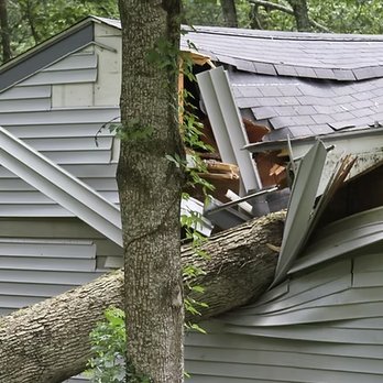 Reel Tree Service - Tree Services Near Me Reel Tree Service - Tree Services Near Me