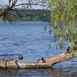 Salt-n-Sugar - Havelblick
