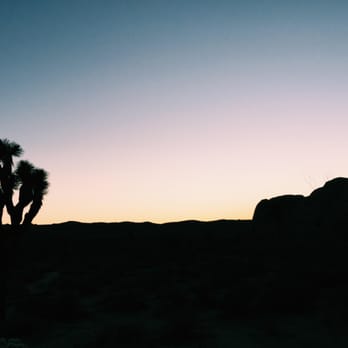 Black Rock Canyon - Hiking Near Me - Yucca Valley, California